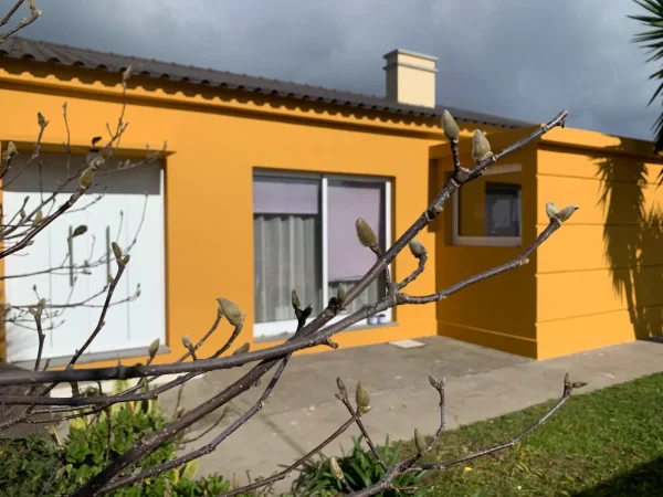Exterior Elevation Renovation