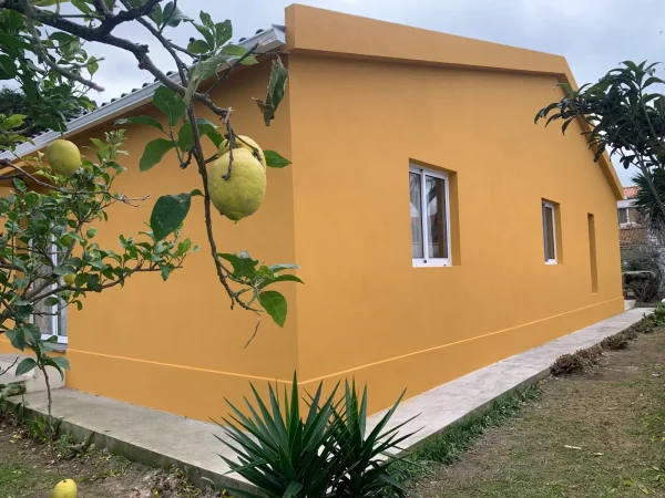 Exterior Elevation Renovation