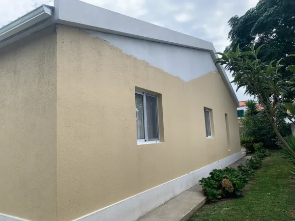 Exterior Elevation Renovation
